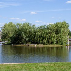 Панорама озера, поселок Онегино